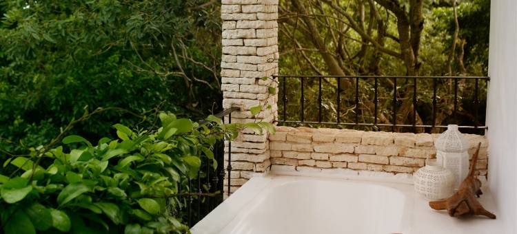 卡曼海滩塞米拉酒店 - 设计酒店会员 - 限成人(Hotel la Semilla a Member of Design Hotels)图片