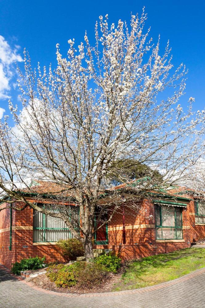 Mount Waverley Townhouses Over view