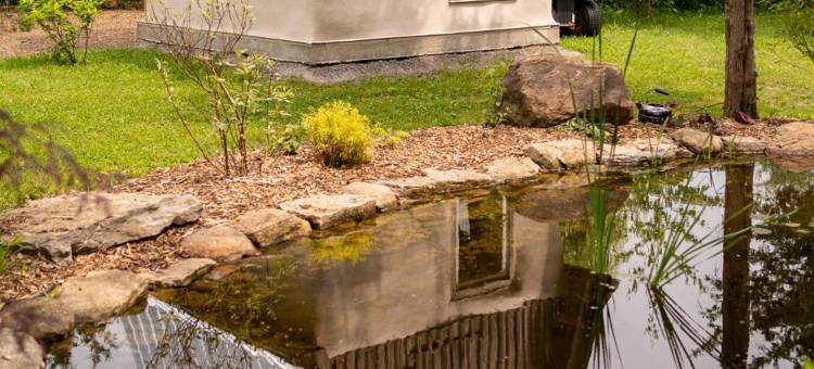 猫头鹰巢套房公寓(Owl's Nest Suites)图片