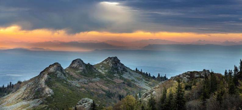 公园小屋(Le Cottage du Parc)图片