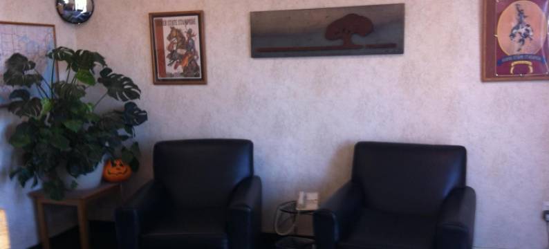 埃尔科温德姆呗盟酒店(Baymont by Wyndham Elko)图片