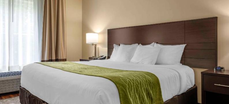 舒适酒店(Comfort Inn)图片