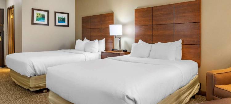 舒适酒店(Comfort Inn)图片