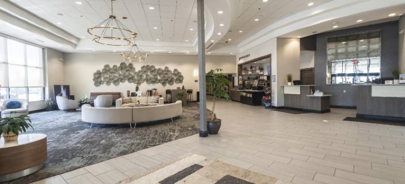 底特律诺维万豪德尔塔酒店(Delta Hotels Detroit Novi)图片