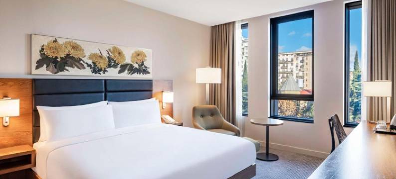 第比利斯希尔顿花园酒店(Hilton Garden Inn Tbilisi Chavchavadze)图片