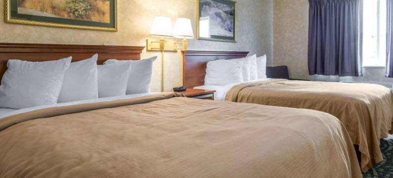 凯艺套房酒店(Quality Inn & Suites)图片