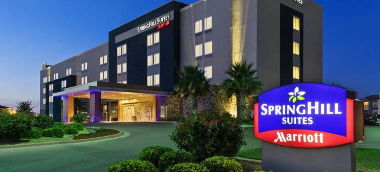 米德兰敖德萨万豪SpringHill Suites 酒店(SpringHill Suites Midland Odessa)图片