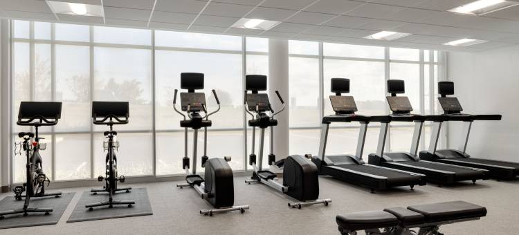 伊斯顿SpringHill Suites 酒店(SpringHill Suites Easton PA)图片