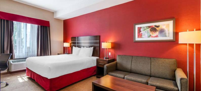 金德斯利贝斯特韦斯特优质酒店(Best Western Plus Kindersley Hotel)图片