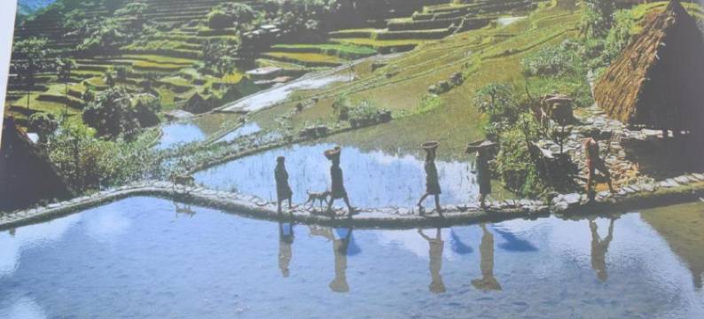 巴瑙常青旅舍及餐厅(Banaue Evergreen Hostel and Restaurant)图片