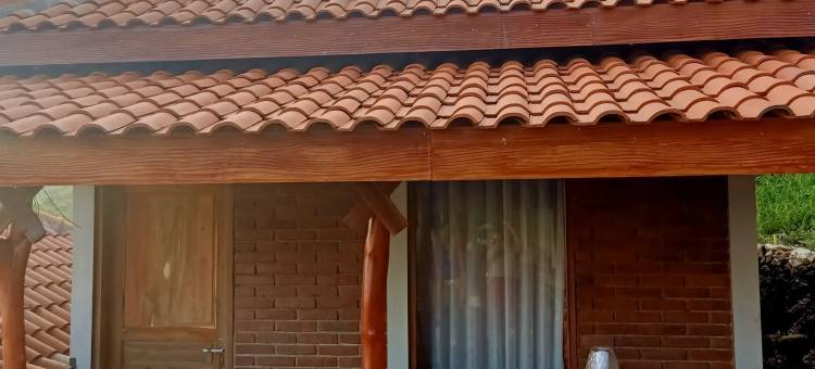 Kodhok Ijo Bukit Sion图片