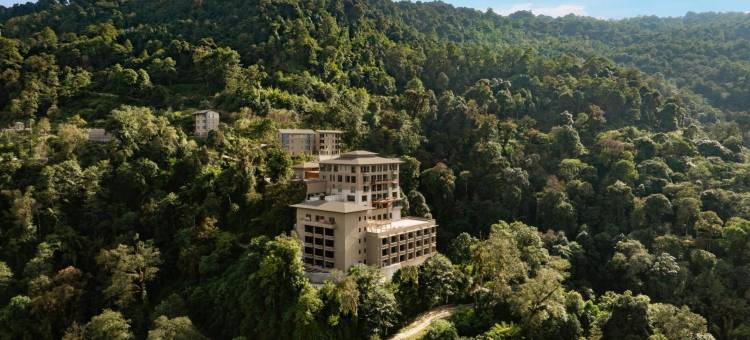 塔吉古拉斯库蒂尔 (印度)Taj Guras Kutir Resort &Spa, Gangtok(Taj Guras Kutir Resort & Spa, Gangtok)图片