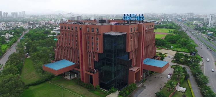 浦那辛吉瓦蒂兰花酒店(The Orchid Hotel Hinjewadi Pune)图片