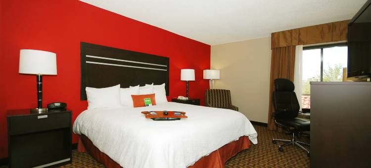 I-75迈尔斯堡机场欢朋酒店(Hampton Inn Ft. Myers-Airport I-75)图片