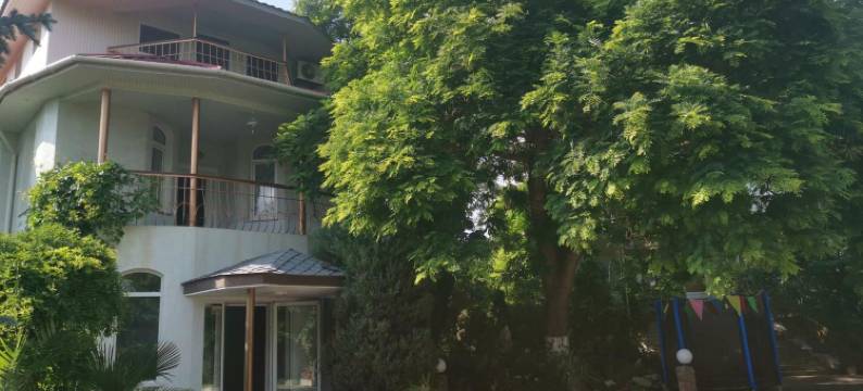 诺德士酒店(Nautilus)图片