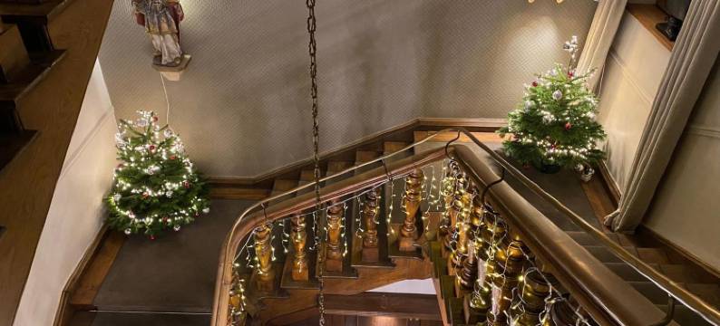 特罗因斯泰因公园酒店(Parkhotel Traunstein)图片