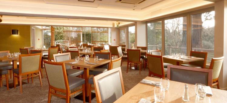 邓迪因弗卡斯贝斯特韦斯特酒店(Best Western Dundee Invercarse Hotel)图片