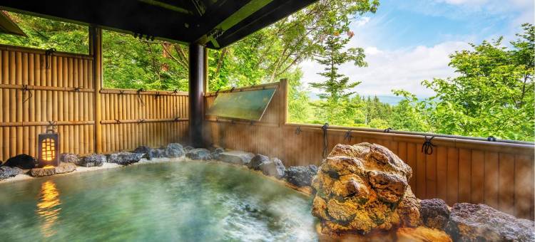 八幡平山酒店及Spa(Hachimantai Mountain Hotel & Spa)图片
