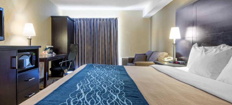 舒适酒店(Comfort Inn)图片