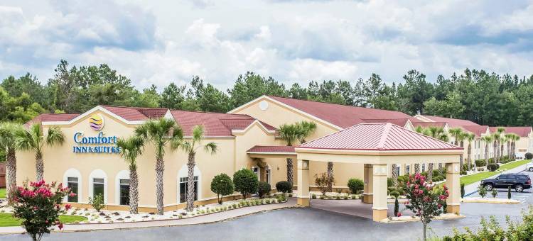 沃尔特伯勒I-95舒适套房酒店(Comfort Inn & Suites Walterboro I-95)图片