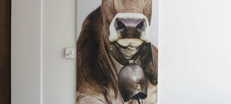 格勒诺布尔南瑟伊辛斯宜必思快捷酒店(Ibis Budget Grenoble Sud Seyssins)图片