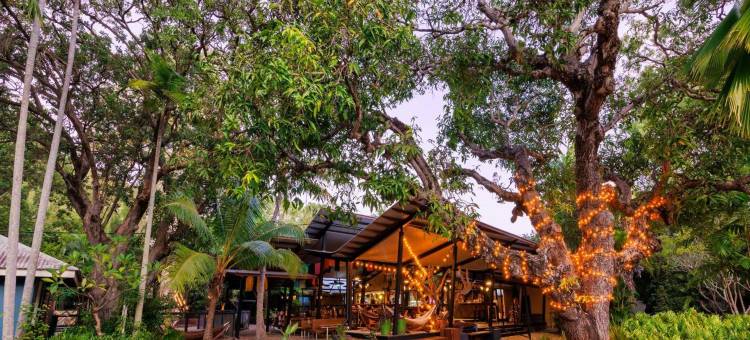 Bounce Magnetic Island and Koala Park - Formerly Roamer图片