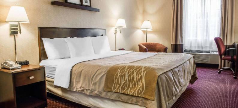 梅多兰兹舒适酒店(Comfort Inn Meadowlands)图片