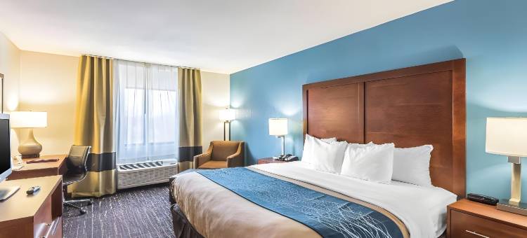 利斯萨米特舒适套房酒店-堪萨斯城(Comfort Inn & Suites Lees Summit - Kansas City)图片