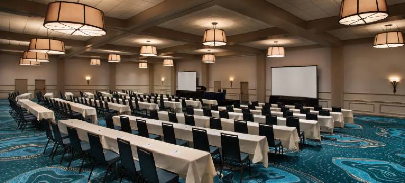 布埃纳维斯塔湖迪士尼清泉温德姆花园酒店(Wyndham Garden Lake Buena Vista Disney Springs® Resort Area)图片