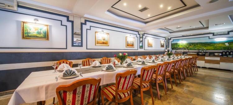 扎格酒店(Hotel Zagi)图片