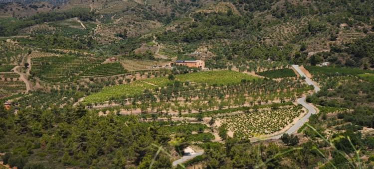 ORA酒店Priorat，设计酒店会员(Ora Hotel Priorat, a Member of Design Hotels)图片