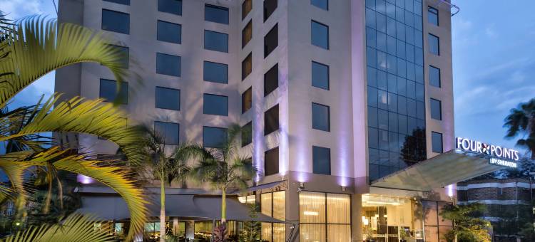 内罗毕赫林汉姆福朋喜来登酒店(Four Points by Sheraton Nairobi Hurlingham)图片