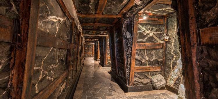 波哥大机场万怡酒店(Courtyard by Marriott Bogota Airport)图片