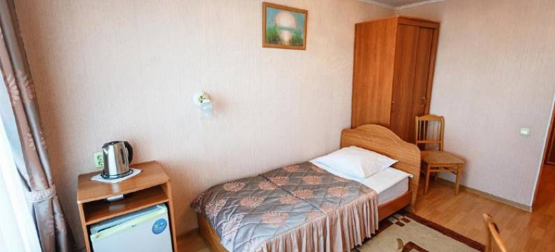 泽雅酒店(Zeya Hotel)图片