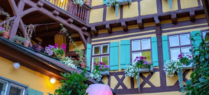 菏泽罗浮酒店(Hezelhof Hotel)图片