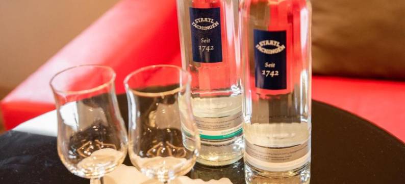 祖格恩巴姆旅馆(Zum grünen Baum Hotel Frankfurt Airport)图片