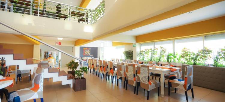 切图马尔爵怡温德姆酒店(Tryp by Wyndham Chetumal)图片