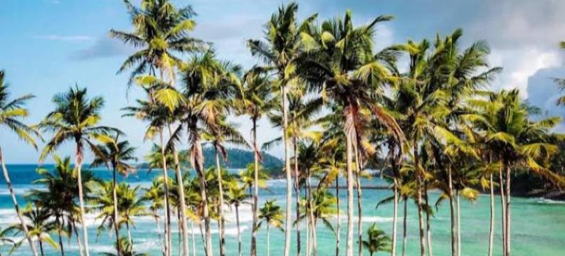 帕拉凡迪旅馆(Pravindi Guest Home)图片