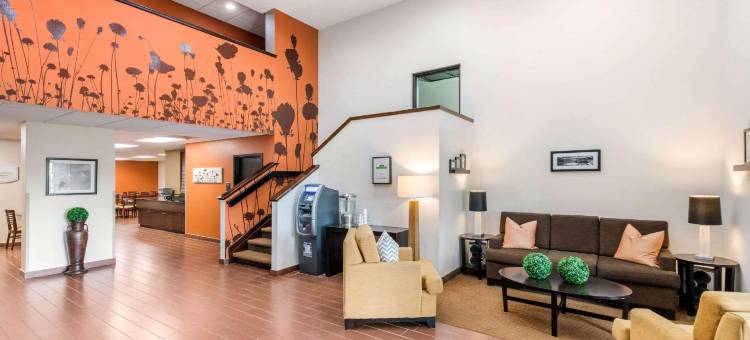 圣彼得堡克利尔沃特舒眠酒店(Sleep Inn Clearwater-St Petersburg)图片