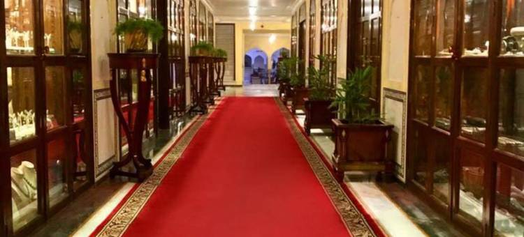 拉杰皇宫酒店(The Raj Palace)图片