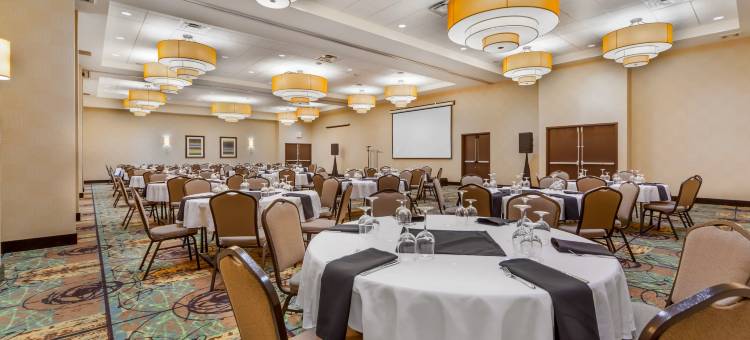 Holiday Inn & Suites 埃德蒙顿国际机场(Holiday Inn & Suites EDMONTON ARPT - CONFERENCE CTR by IHG)图片