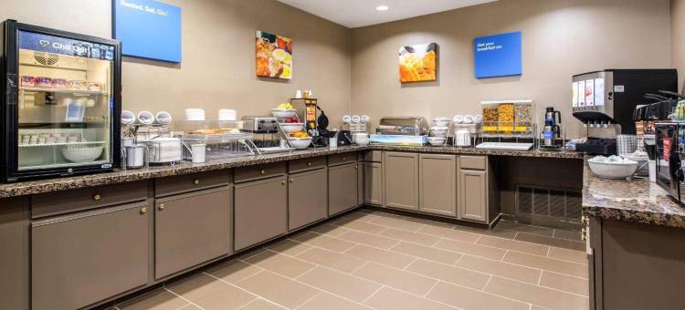 IAH布什机场-东舒适套房酒店(Comfort Inn & Suites IAH Bush Airport - East)图片