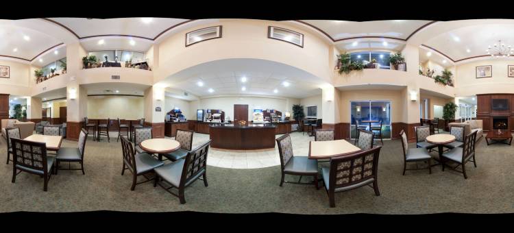 智选假日套房酒店拉夫金南(Holiday Inn Express & Suites Lufkin South)图片
