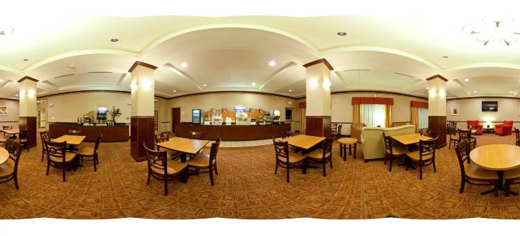 智选假日套房酒店阿马里洛南(Holiday Inn Express & Suites Amarillo South)图片