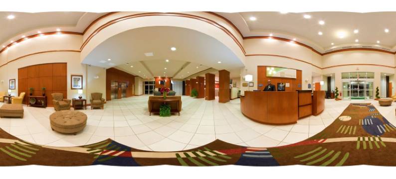 Holiday Inn 奥罗拉北，内珀维尔(Holiday Inn AURORA NORTH- NAPERVILLE by IHG)图片