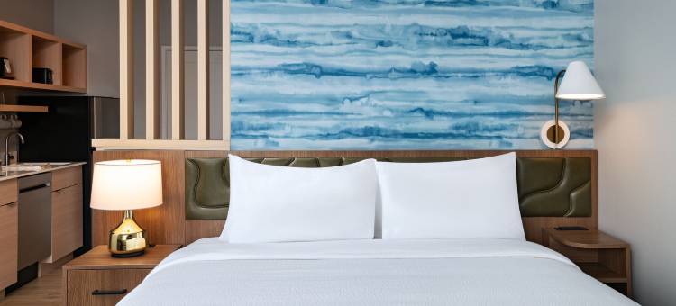 斯塔福德糖城 TownePlace Suites 酒店(TownePlace Suites Stafford Sugar Land)图片