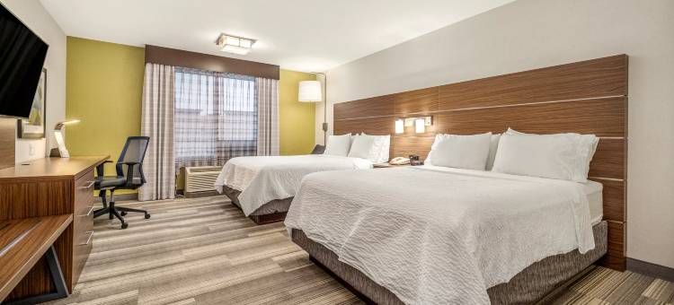 梅迪辛哈特横加1号高速公路智选假日套房酒店(Holiday Inn Express & Suites Medicine Hat Transcanada Hwy 1)图片