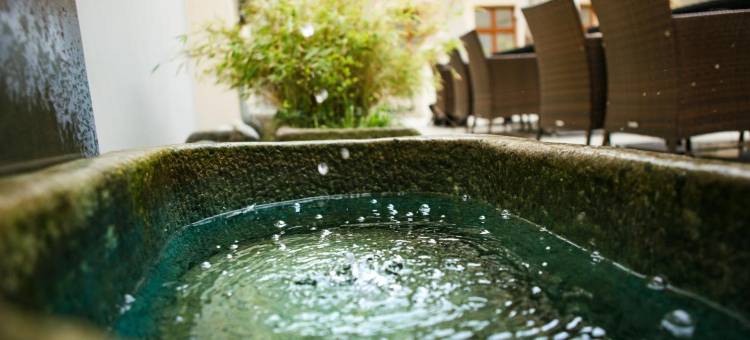 幽泽特哈伊莲娜酒店-金鹿(Hotel U Zlateho Jelena)图片