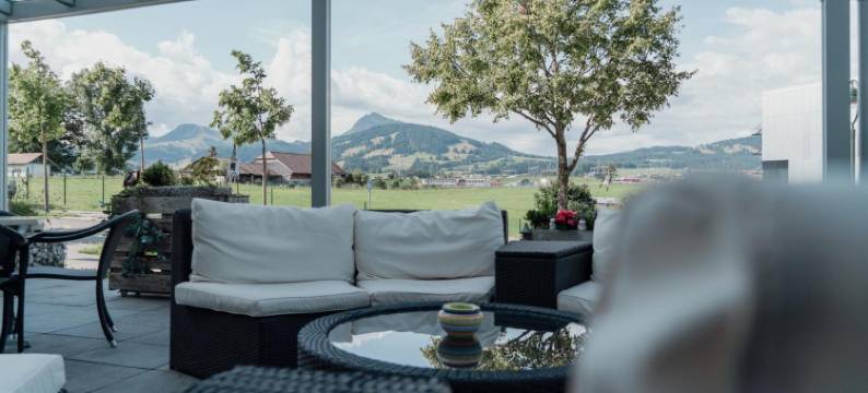 宜必思布勒格鲁耶尔酒店(Ibis Bulle la Gruyère)图片