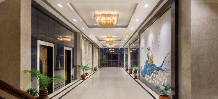 皇家郁金香加德满都(Royal Tulip Kathmandu)图片